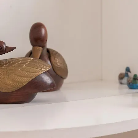 Apartamento Matteotti 54