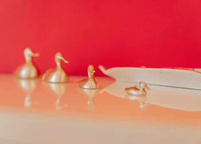 Daire Matteotti 54 Biandrate