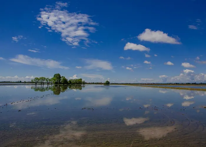 Matteotti 54 Biandrate